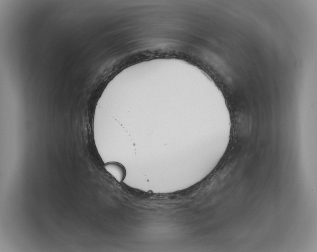 X0000112830918200908210935
