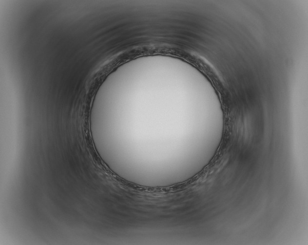 X0000112830919200908210935