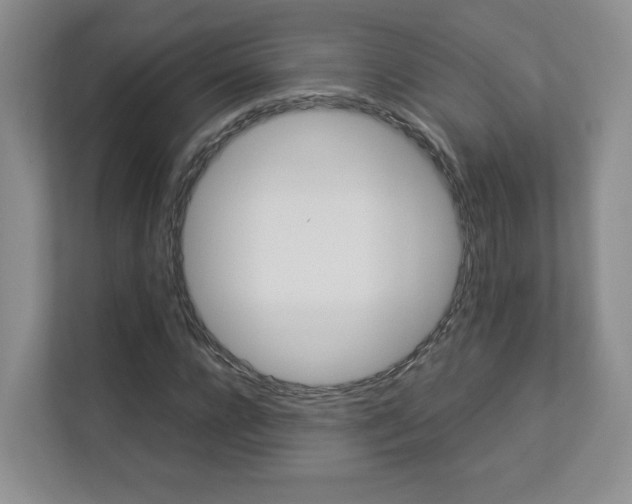 X0000112830920200908210935