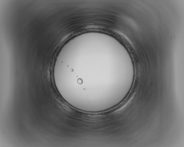 X0000112830921200908210935
