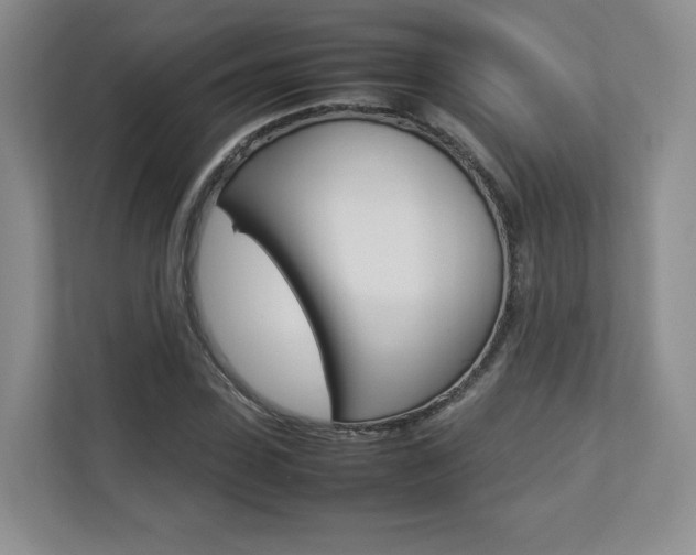 X0000112830923200908210936