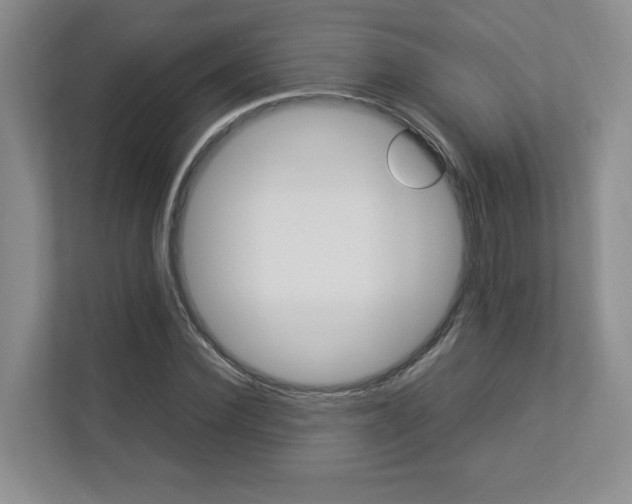 X0000112830924200908210936