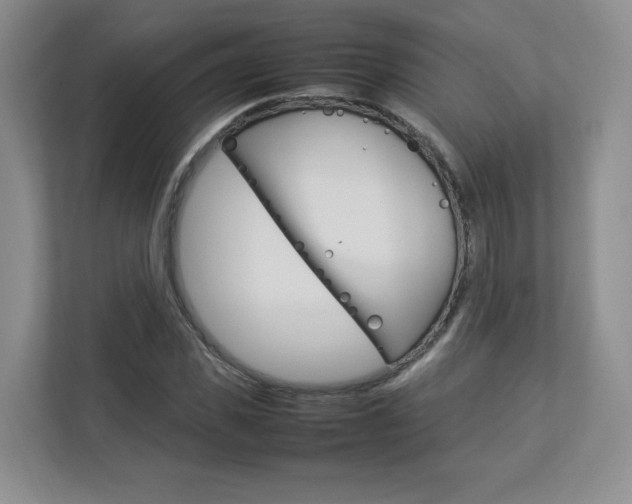 X0000112830925200908210936