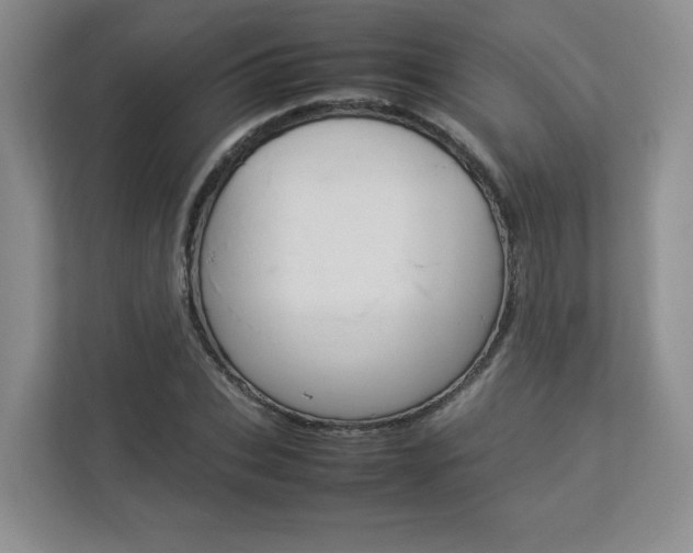 X0000112830927200908210936