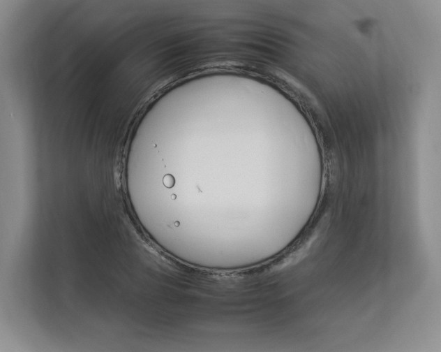 X0000112830929200908210936