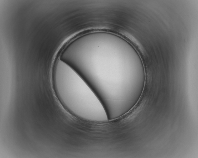X0000112830935200908210936