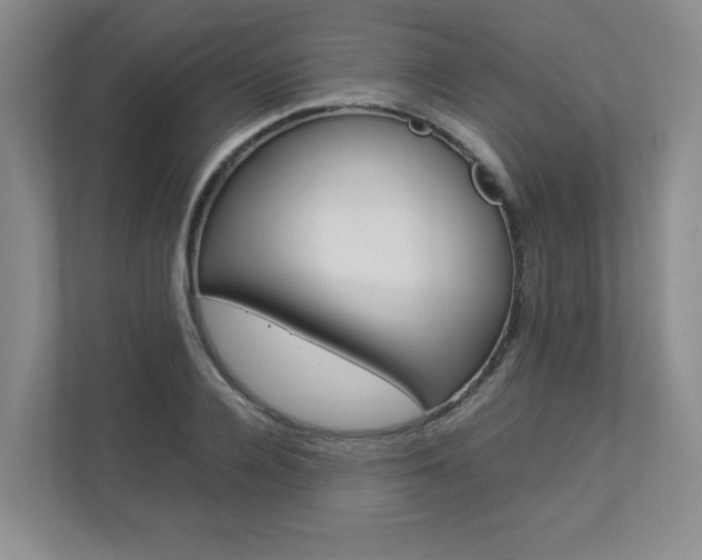 X0000112830936200908210936
