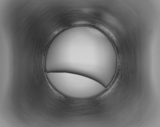 X0000112830937200908210936