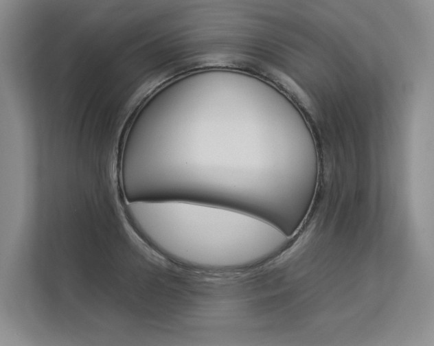 X0000112830938200908210936