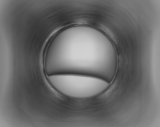 X0000112830939200908210936