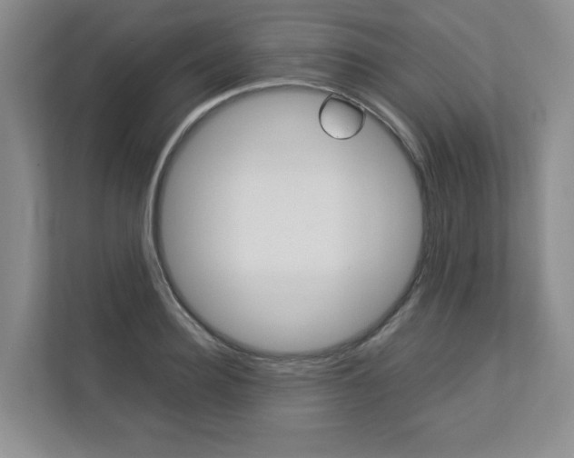 X0000112830940200908210936