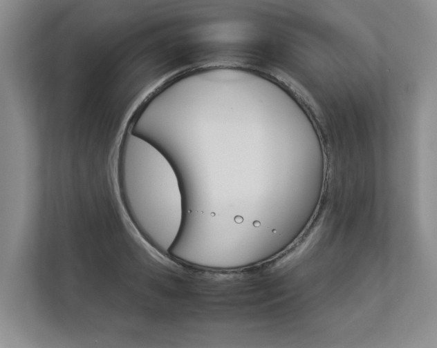 X0000112830941200908210936