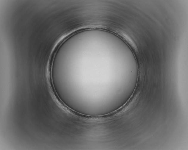X0000112830944200908210936