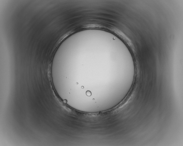 X0000112830945200908210936