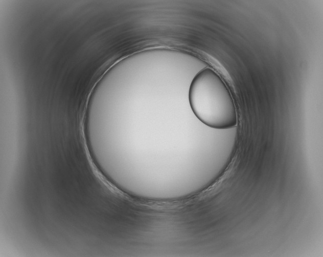X0000112830946200908210936