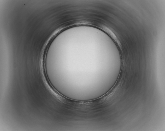 X0000112830947200908210936