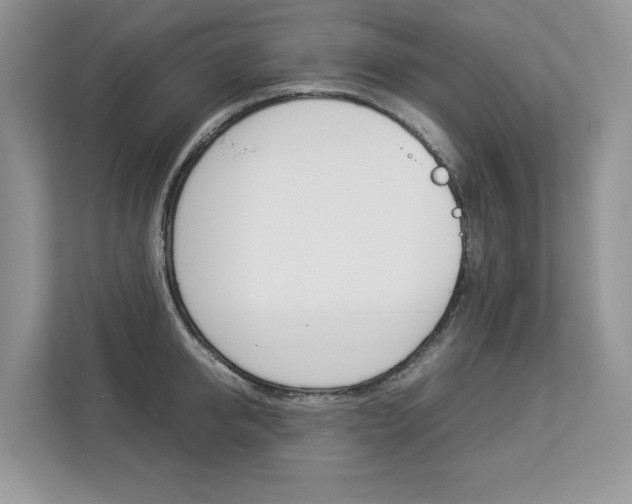 X0000112830950200908210936