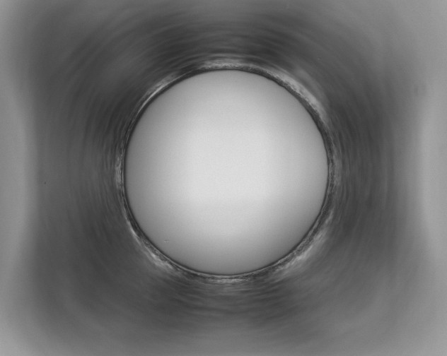 X0000112830953200908210936