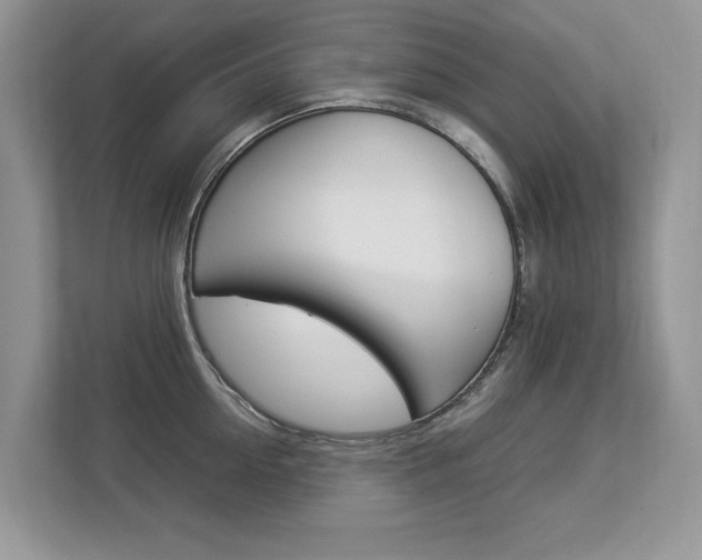 X0000112830954200908210936