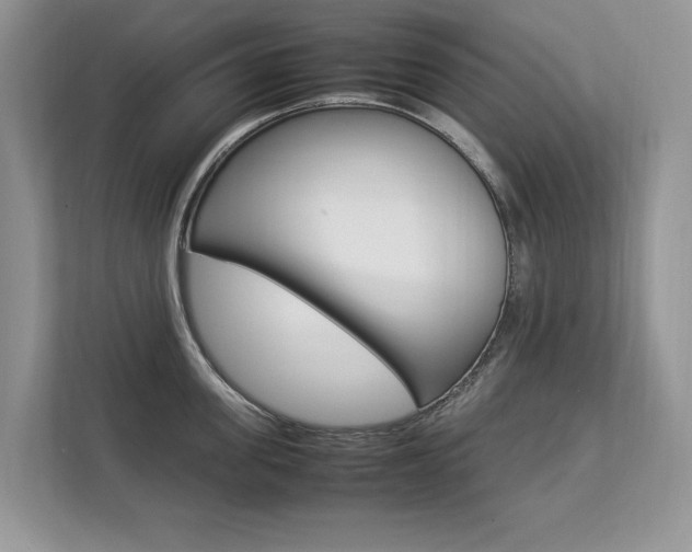 X0000112830955200908210936