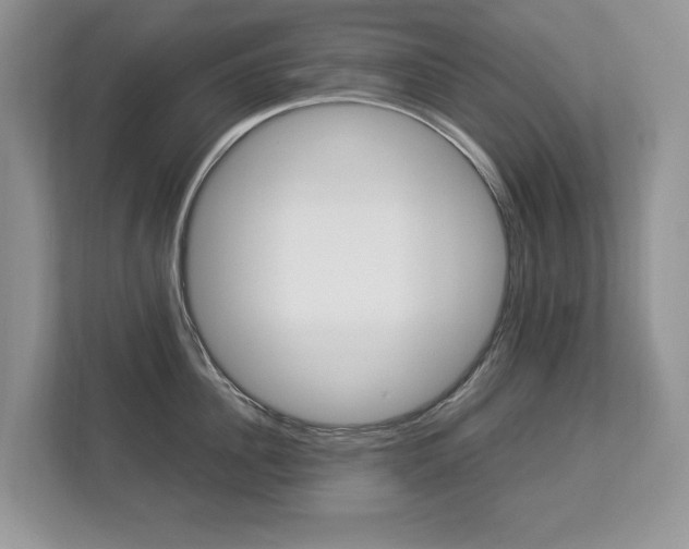 X0000112830956200908210936