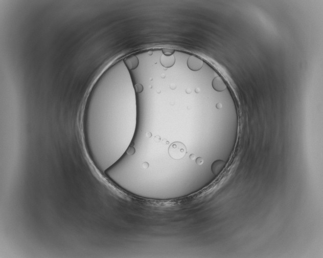 X0000112830957200908210936