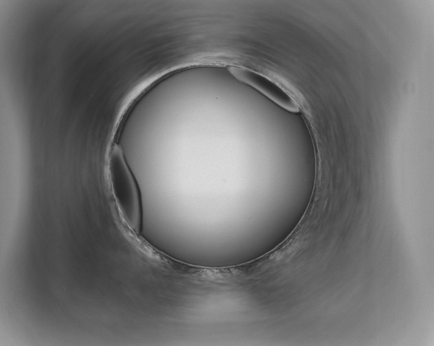 X0000112830960200908210936