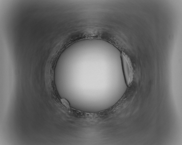 X0000112830961200908210935