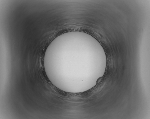 X0000112830962200908210935