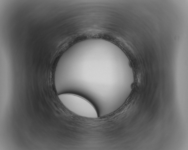 X0000112830964200908210935