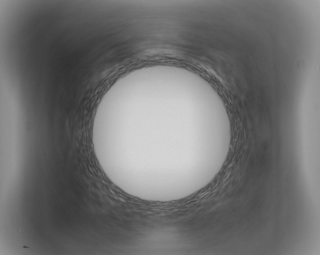 X0000112830965200908210935