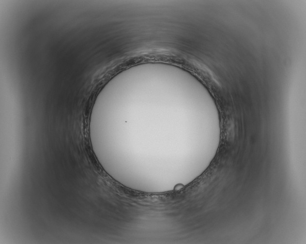 X0000112830966200908210935
