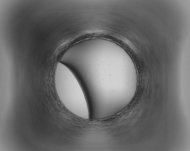 X0000112830967200908210935