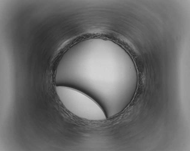 X0000112830968200908210935