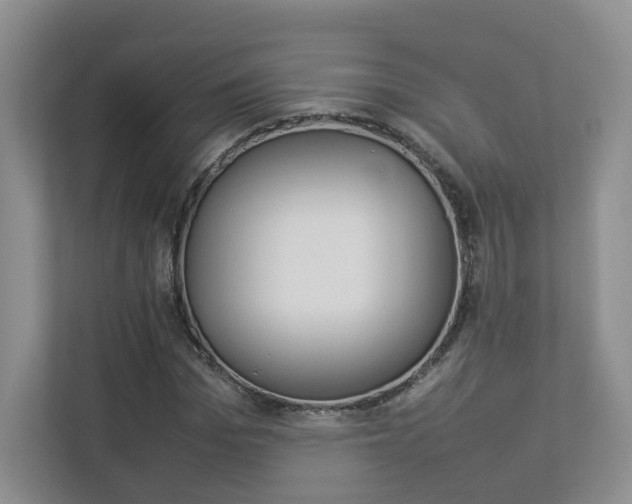 X0000112830969200908210935