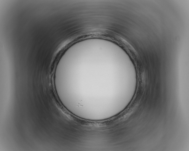 X0000112830970200908210935