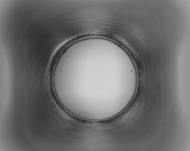 X0000112830971200908210935