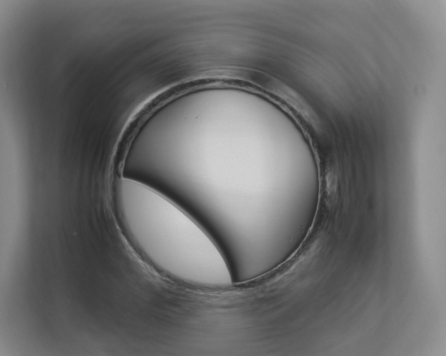 X0000112830972200908210935