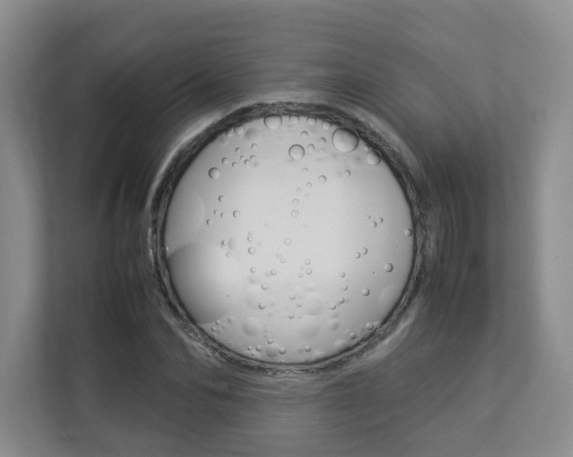 X0000112830974200908210935