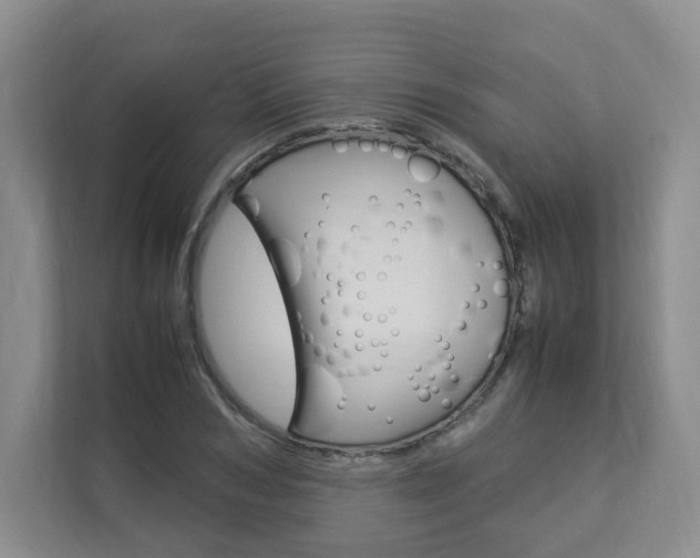 X0000112830978200908210935