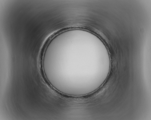 X0000112830979200908210935