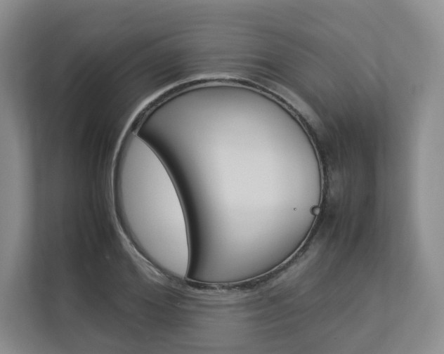 X0000112830980200908210935