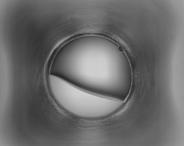 X0000112830981200908210935
