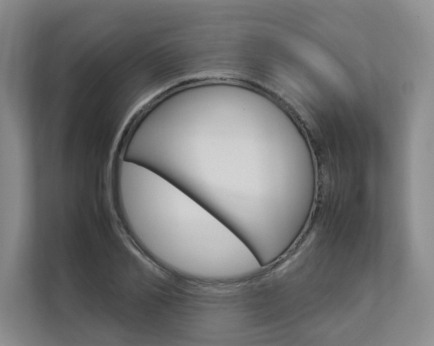 X0000112830982200908210935