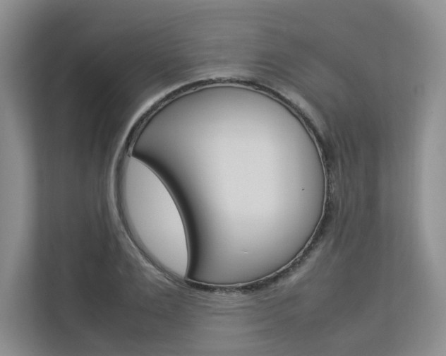 X0000112830983200908210935
