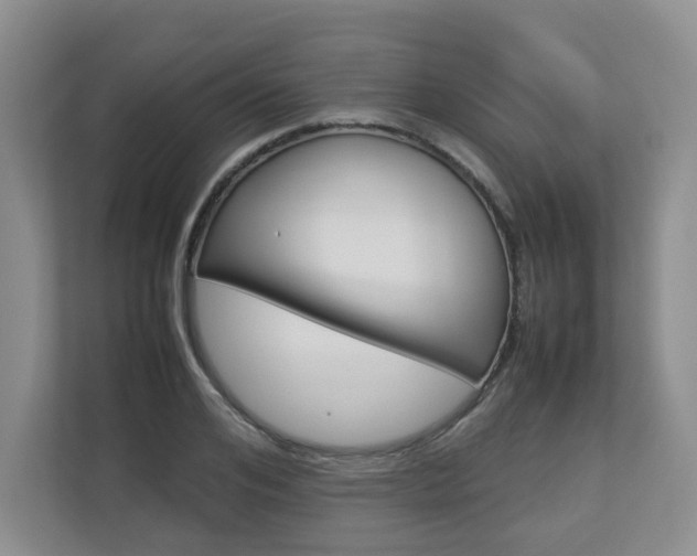 X0000112830984200908210935