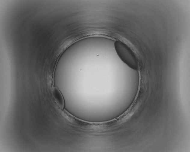 X0000112830985200908210935
