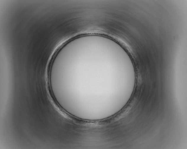 X0000112830990200908210935