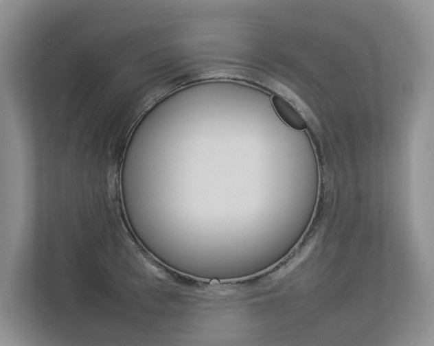 X0000112830993200908210935