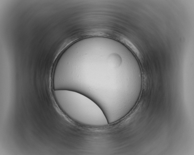 X0000112830994200908210935